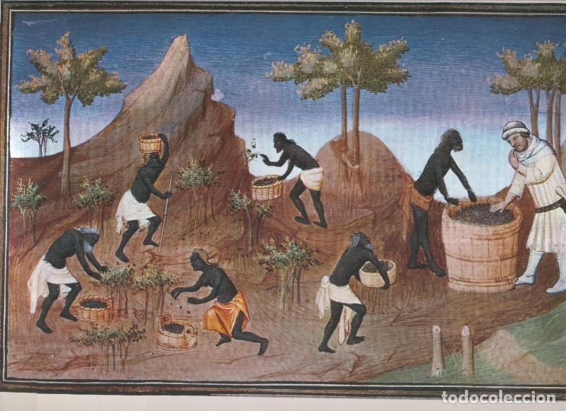 books: El Libro de las maravillas de Marco Polo, lamina 11 - Varios