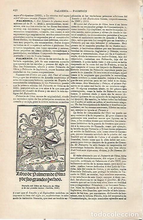 B&uuml;cher: LAMINA ESPASA 23478: Portada del Libro de Palmeron de Oliva - Varios