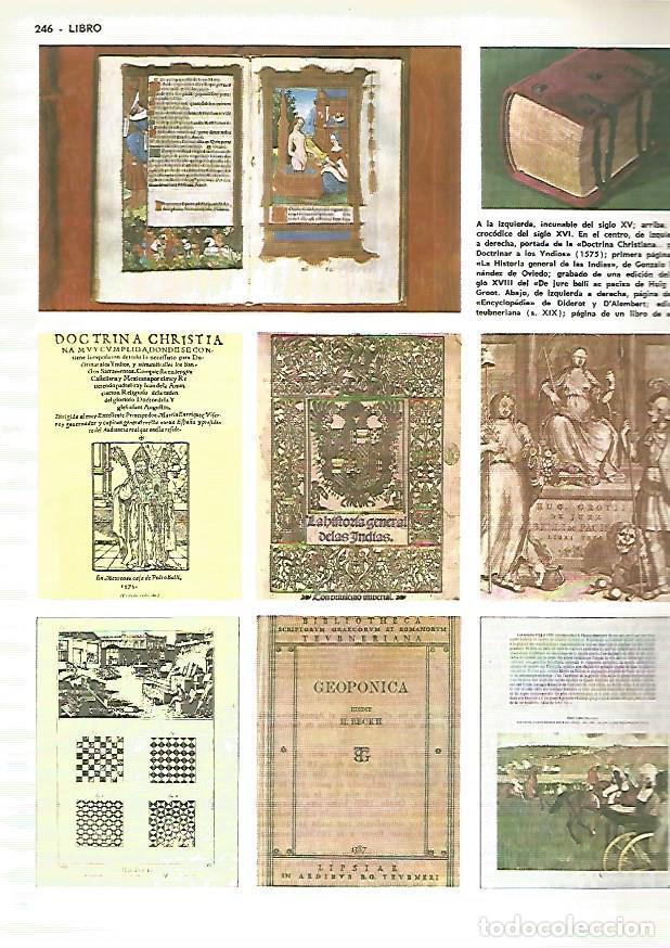 Libros: LAMINA MONITOR 0322: EJEMPLOS DE LIBRO - Varios