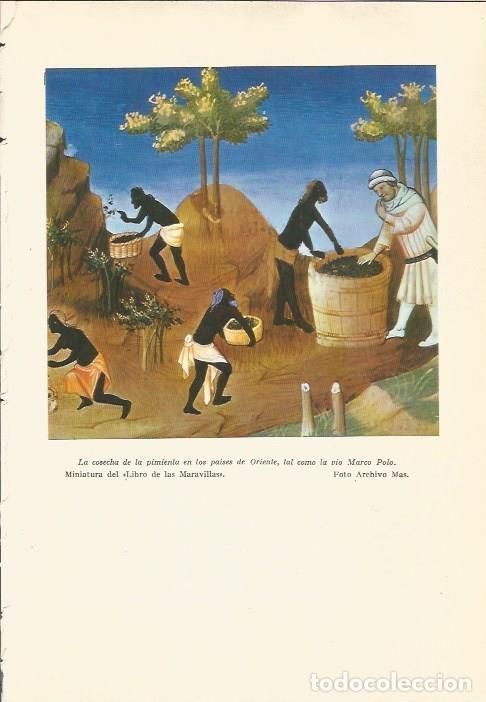 Libri di seconda mano: LAMINA 24717: Miniatura de El Libro de las Maravillas - Martin de Piquer