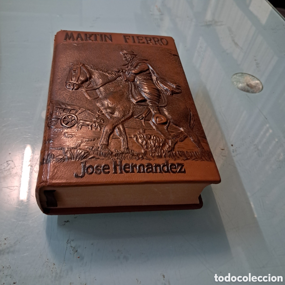 Libros: Jose Hern&aacute;ndez, El gaucho Mart&iacute;n Fierro, Editorial Pampa, 1967