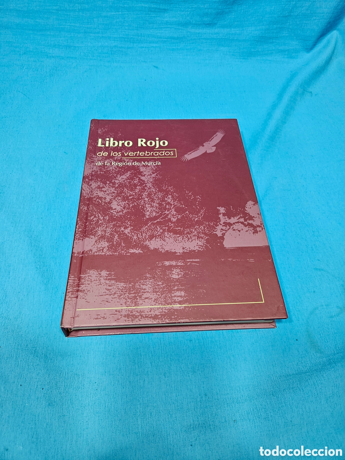 books: LIBRO ROJO DE LOS VERTEBRADOS DE LA REGION DE MURCIA