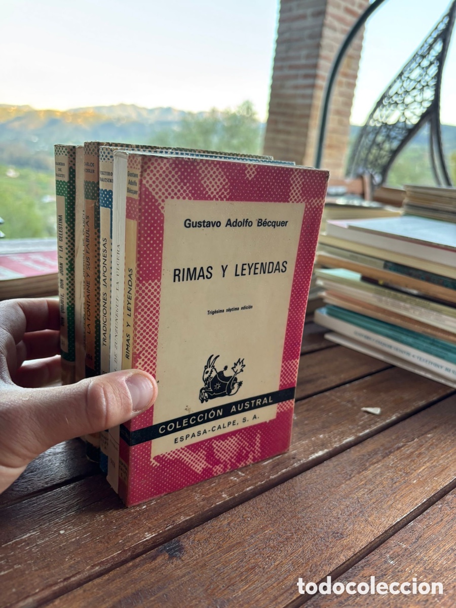 Libros: Lote colecci&oacute;n austral