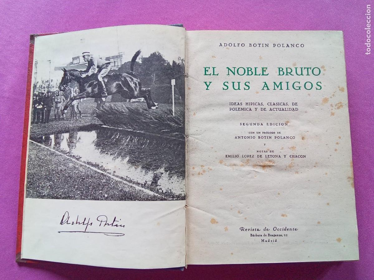 Libros: EL NOBLE BRUTO Y SUS AMIGOS.ADOLFO BOTIN POLANCO 1952. L53 3