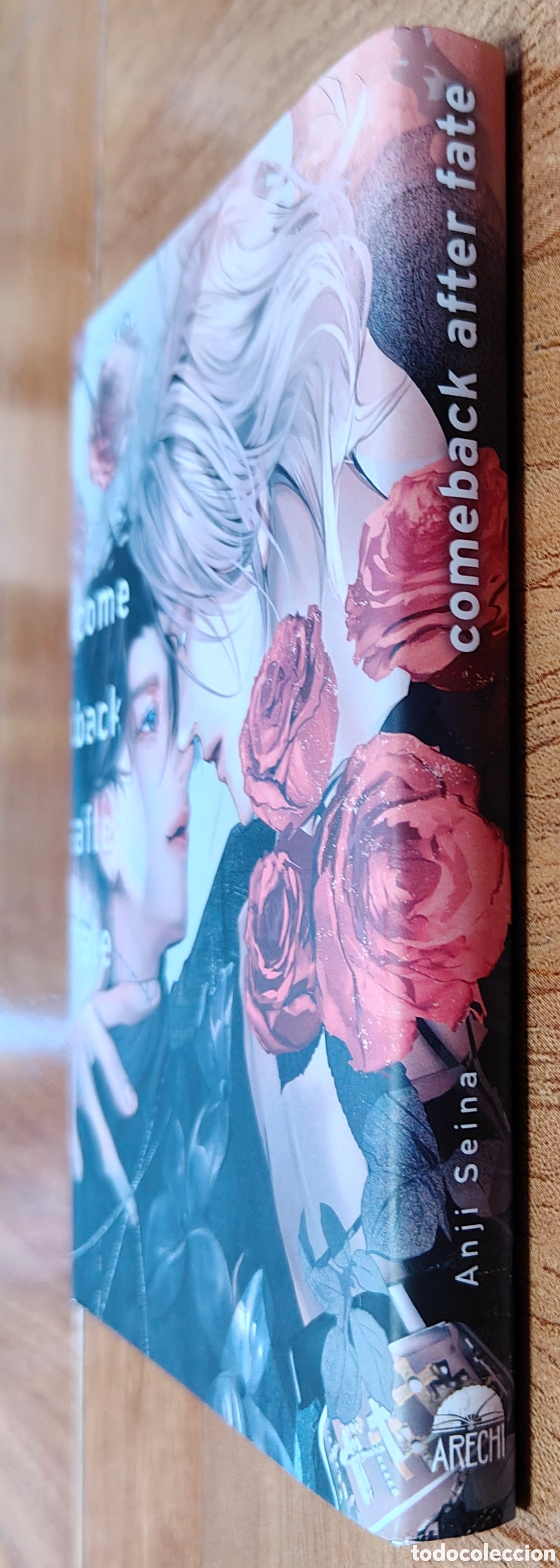 Libros: Come Back After Fate - Anji Seina - Foto 2