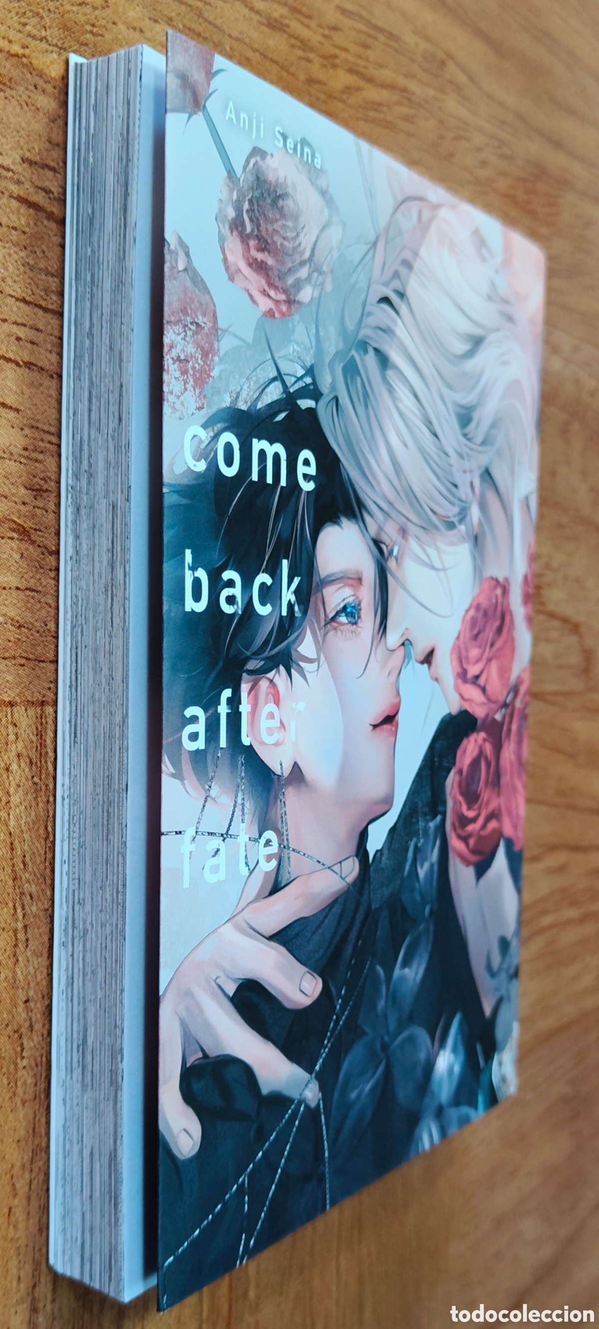 Libros: Come Back After Fate - Anji Seina - Foto 1