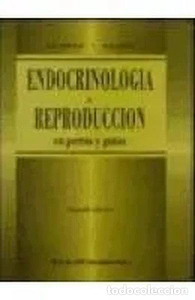 Livros em segunda m&atilde;o: Endocrinolog&iacute;a y reproducci&oacute;n en perros y gatos- 9789701027479