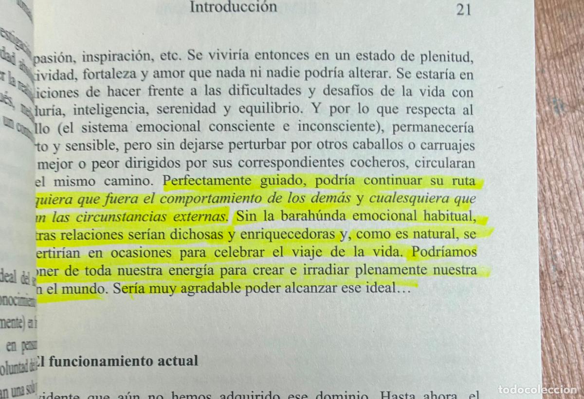 Libros: EL MAESTRO DEL CORAZON, Annie Marquier, Luciernaga - Foto 3