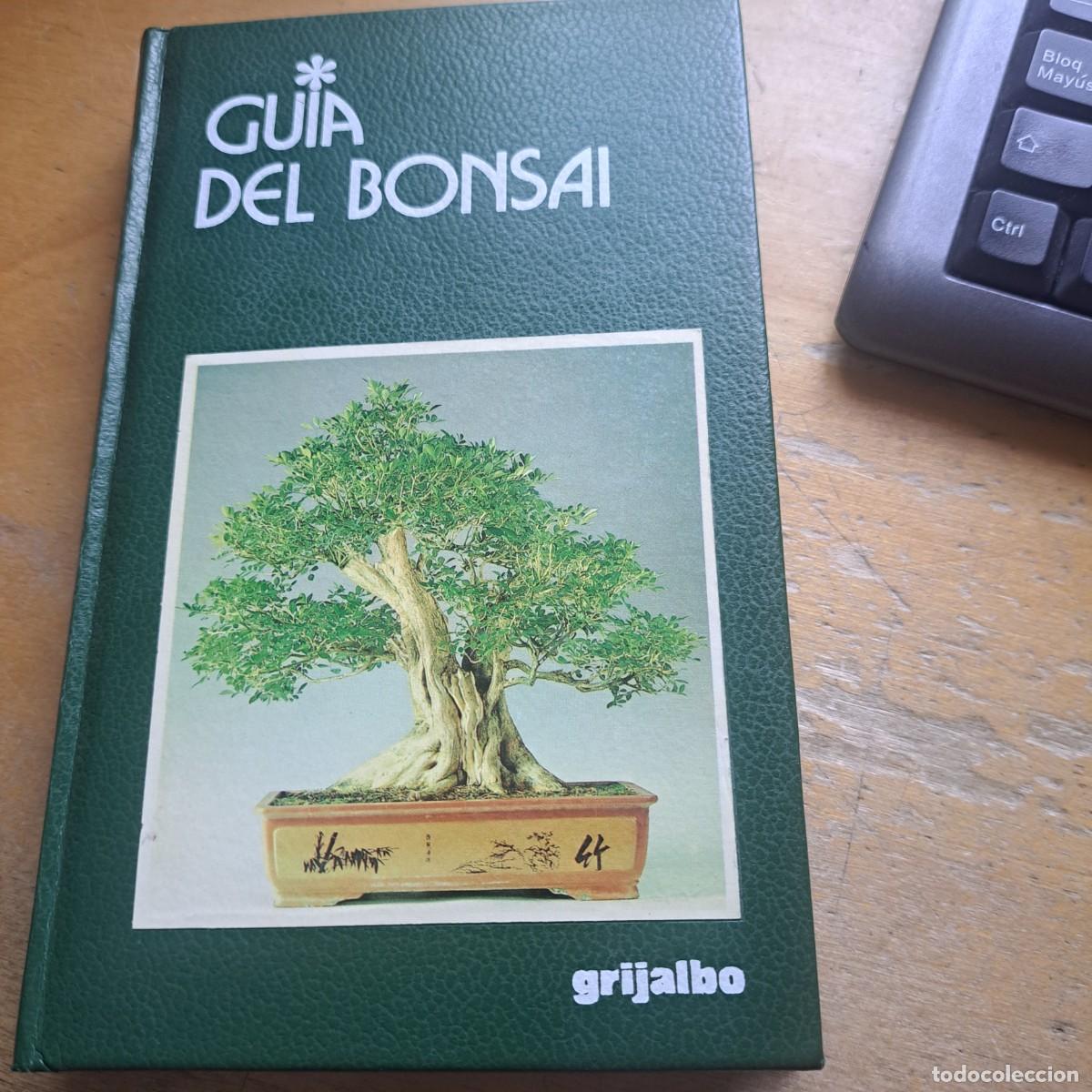 Libros: Gu&iacute;a del bonsai: Giorgi, Gianfranco.- Giorgi, Gianfranco MUY BUEN ESTADO Grijalbo. 1992. null (635.