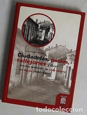 Libros: Ciudadelas, patios, callejones y otras formas similares de vida - Pi&ntilde;era Entrialgo, Luis Miguel