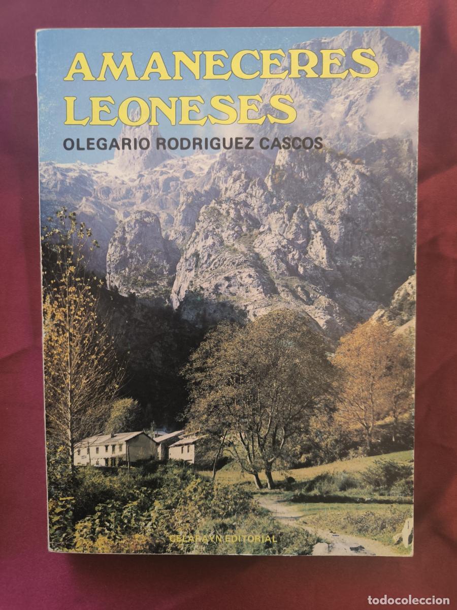 Libros: Amaneceres Leoneses. - Olegario Rodr&iacute;guez Cascos