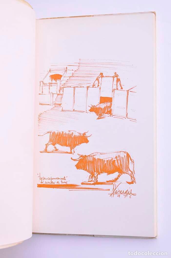 Libros: La in&uacute;til embestida - MAS NIEVES, Joaqu&iacute;n - Foto 3