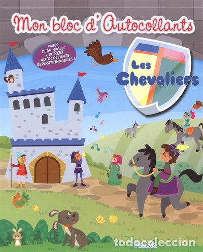 Livres: Les chevaliers- 9782753029217