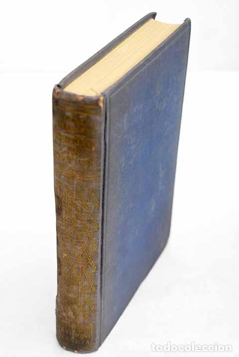 Libros: Orgullo de Kentucky: Markey, Gene.- Markey, Gene