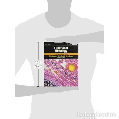 Libri di seconda mano: HISTOLOGIA FUNCIONA, TEXTO Y ATLAS EN COLOR(tercera edici&oacute;n, espa&ntilde;ol) - WHEATER