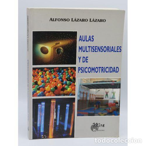Libri di seconda mano: AULAS MULTISENSORIALES y de PSICOMOTRICIDAD - L&Aacute;ZARO L&Aacute;ZARO, ALFONSO - Sin Especificar