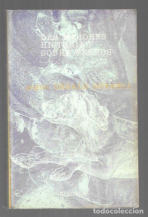 Livres: MEJORES HISTORIAS SOBRE PERROS SEGUN GERALD DURRELL - LAS - VARIOS (PROLOGO GERALD DURRELL)