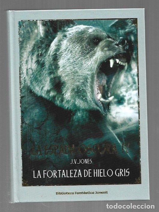B&uuml;cher: FORTALEZA DE HIELO GRIS - LA. LA ESPADA OSCURA IV - J. V. JONES