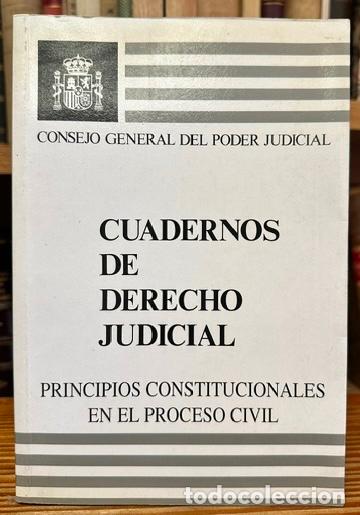 Livres: PRINCIPIOS CONSTITUCIONALES EN EL PROCESO CIVIL