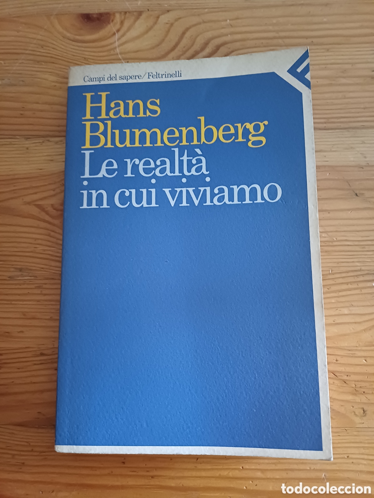 Libros: Le realt&agrave; in cui viviamo Hans Blumenberg Campi del sapere Feltrinelli