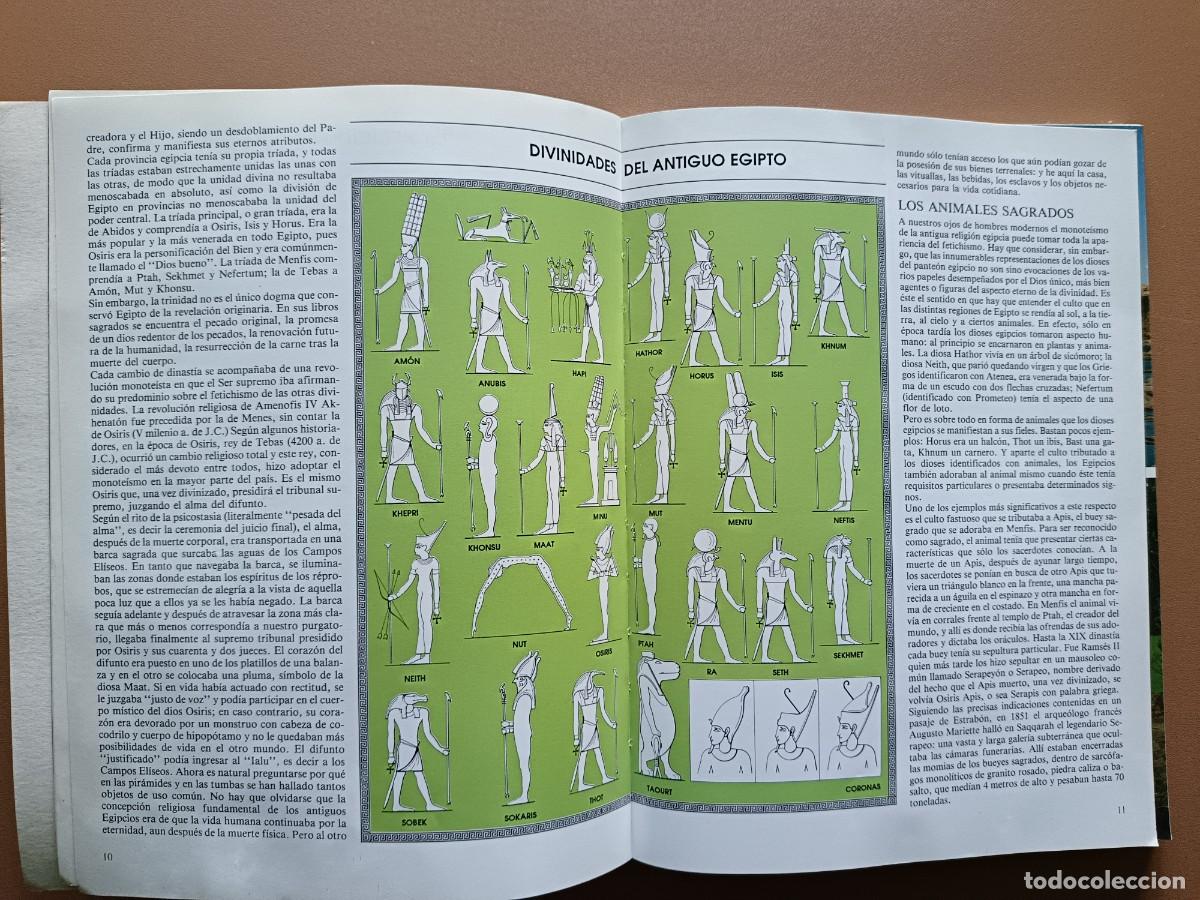 Libros: TODO EGIPTO - BONECHI - Foto 3