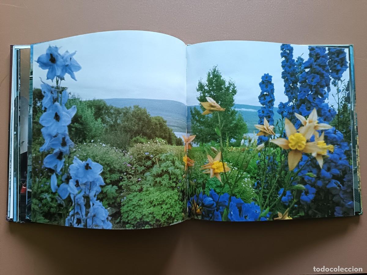 Libros: AKUREYRI - A.N. HAVEN - Foto 7