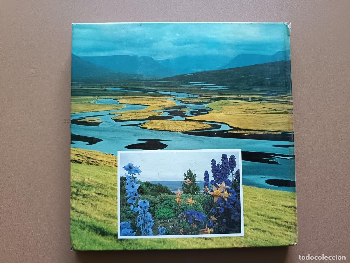 Libros: AKUREYRI - A.N. HAVEN - Foto 9