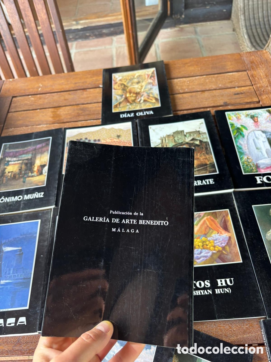 Livros em segunda m&atilde;o: Galer&iacute;a arte benedito