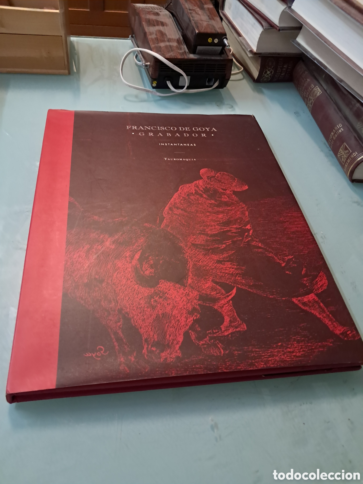 B&uuml;cher: Francisco Goya, Grabador, instant&aacute;neas, Tauromaquia,Caser, 1992