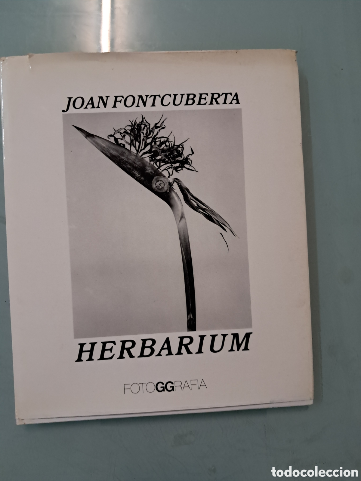 Libros: Joan Fontcuberta, Herbarium, Fotoggrafia