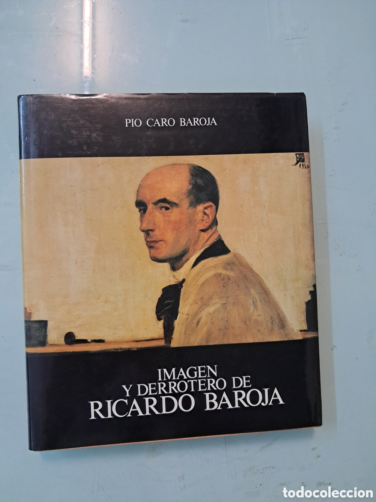 Libros: P&iacute;o Caro Baroja, Imagen y derrotero de Ricardo Baroja,Gobierno Vasco