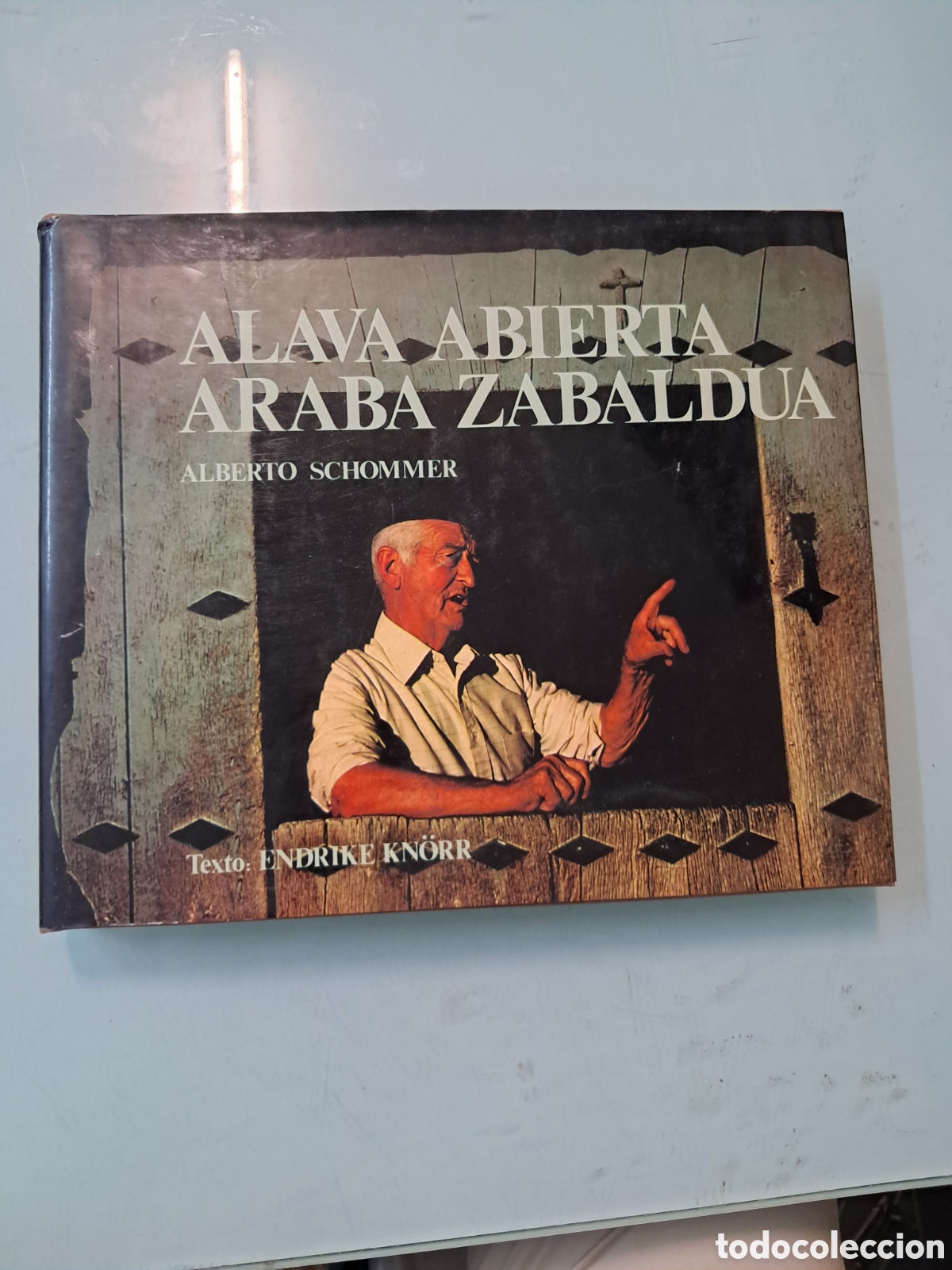 Libros: &Aacute;lava abierta, Araba zabaldua, Alberto Schommer