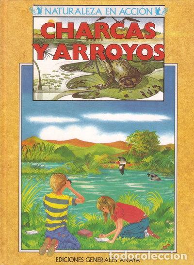 Libri di seconda mano: Charcas y arroyos- 9788475253213