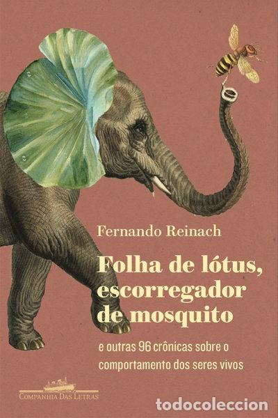 Livres: Folha de l&oacute;tus, escorregador de mosquito- 9788535930634