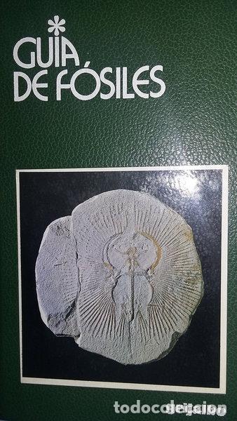 Libri di seconda mano: Gu&iacute;a de f&oacute;siles- 9788425318870