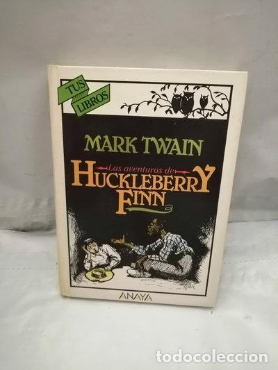 Libros: Las aventuras de Huckleberry Finn- 9788420733968
