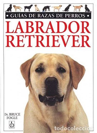 B&uuml;cher: Labrador Retriever- 9788428210874