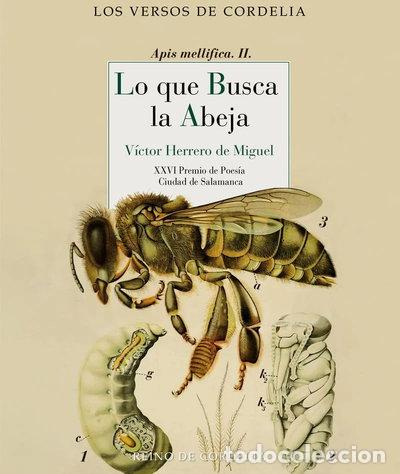 Libros: Lo que busca la abeja- 9788419124685