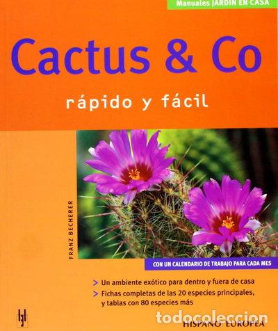 Livros em segunda m&atilde;o: Cactus & Co- 9788425514814