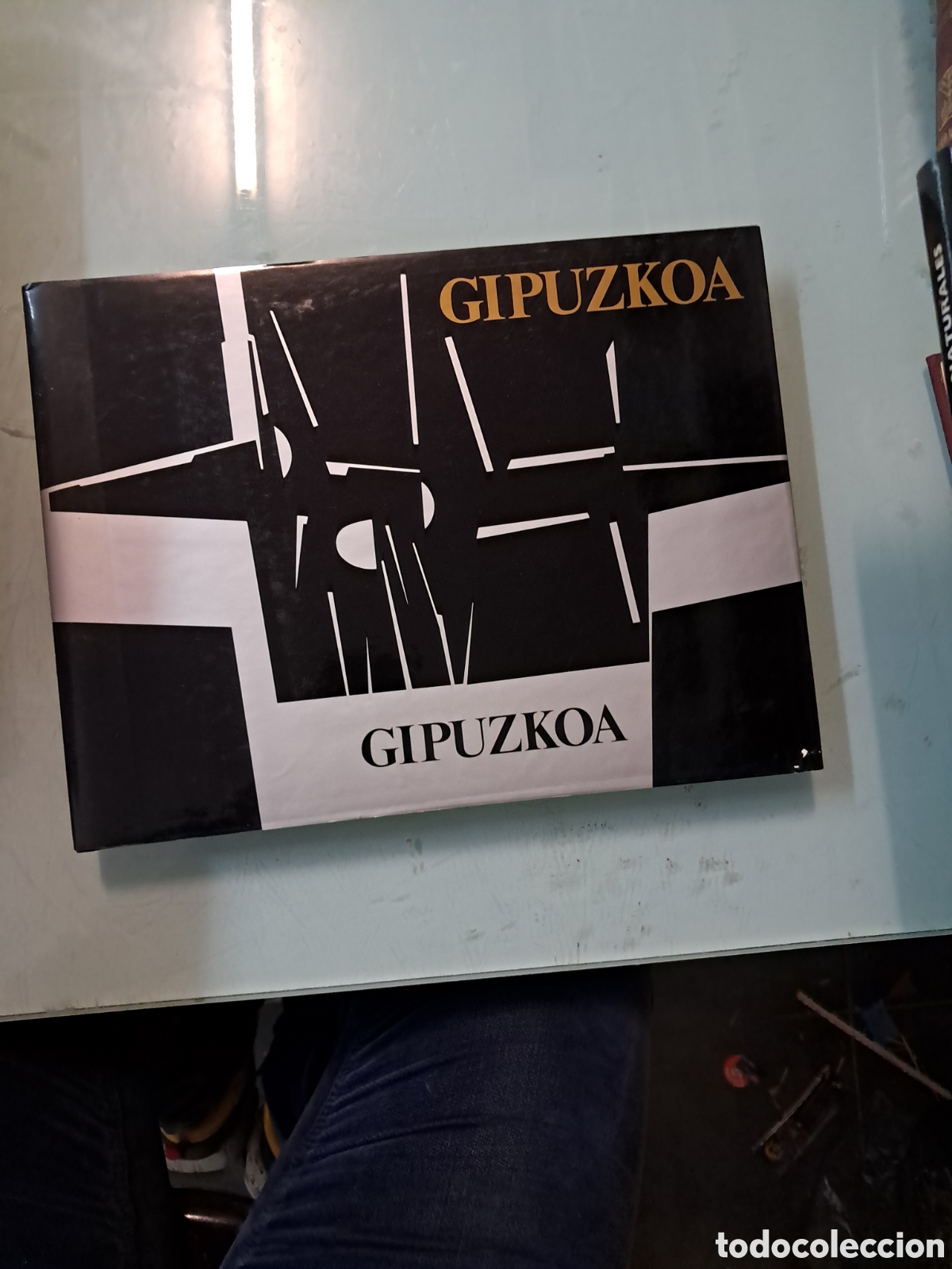 Libros: Gipuzkoa,Diputaci&oacute;n Foral de Gipuzkoa
