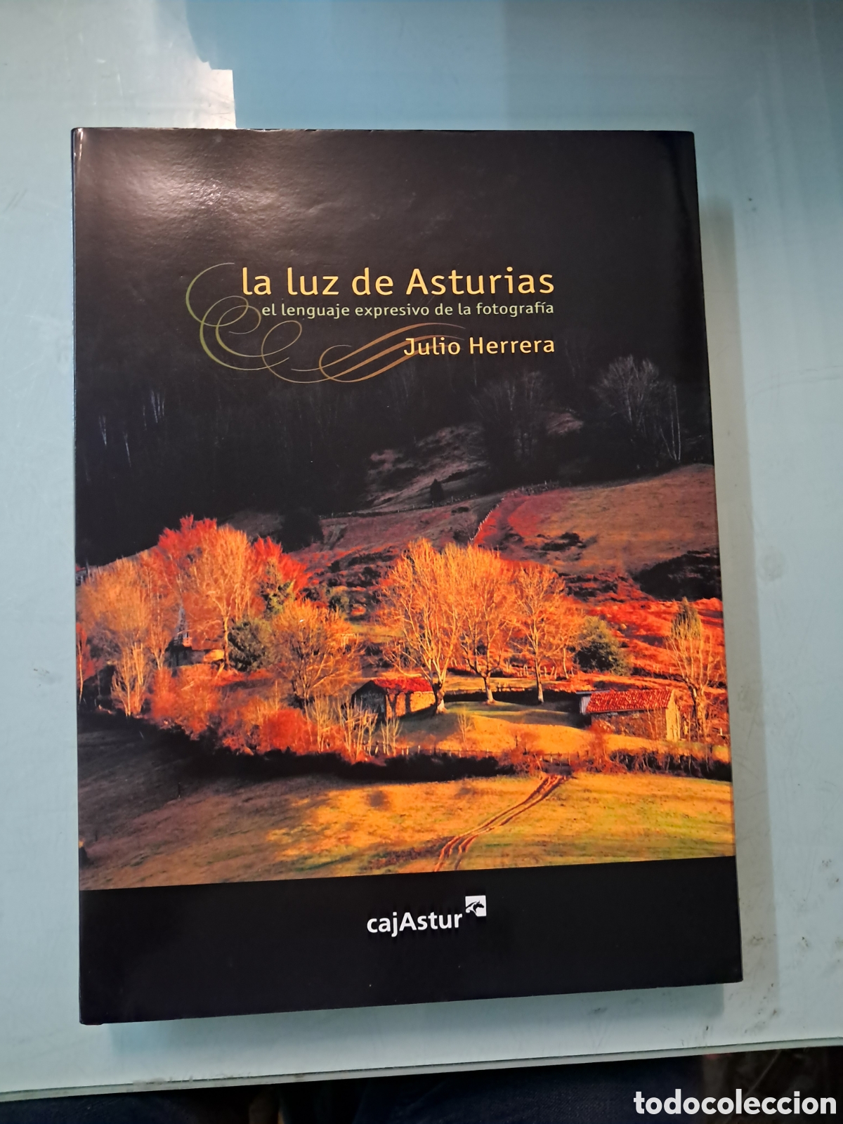 Libros: Julio Herrera, La luz de Asturias, Caja Astur