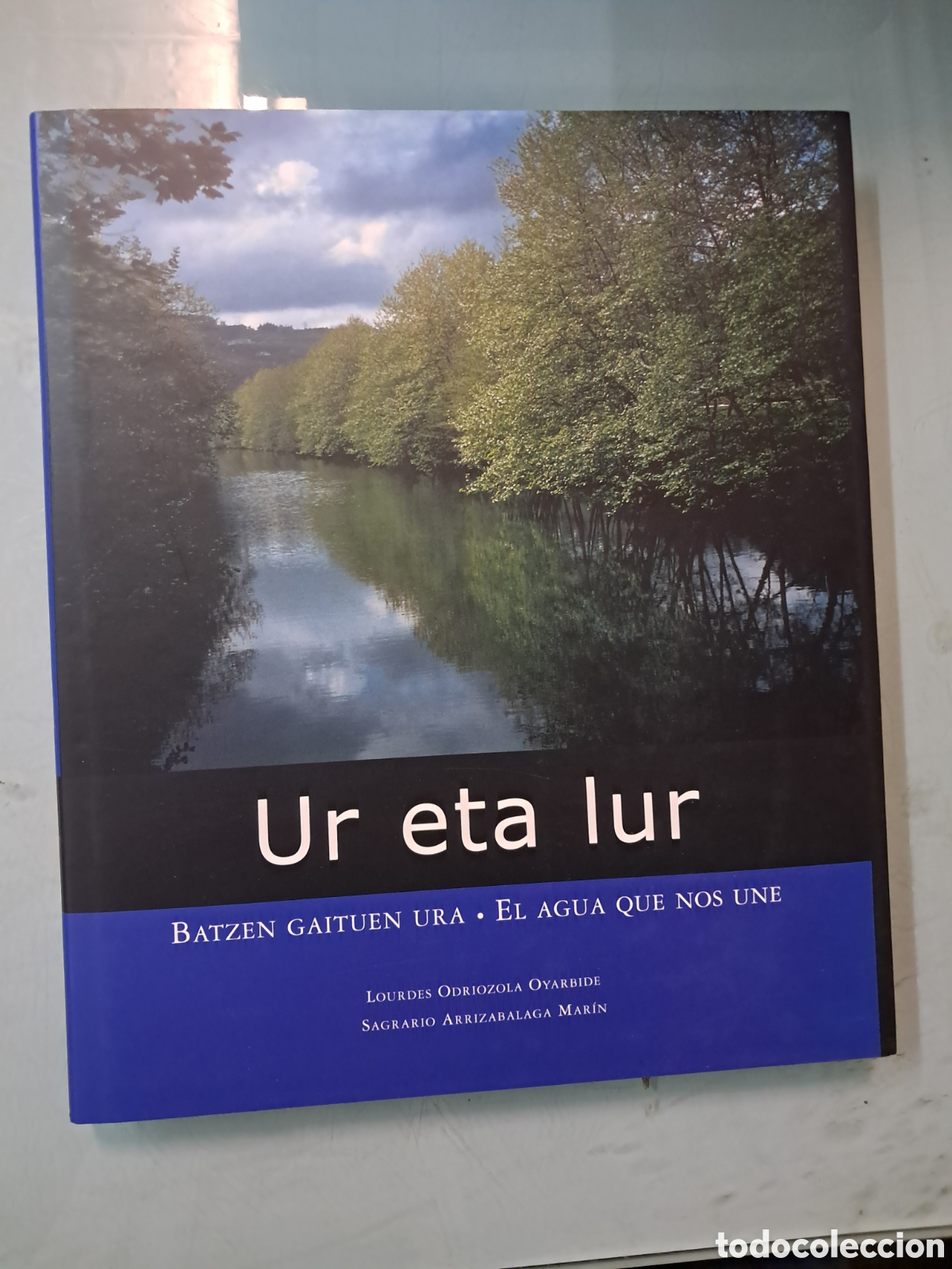 Libros: Lourdes Odriozola Oyarbide, Ur eta lur