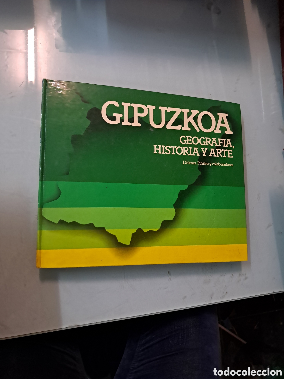 Libros: Gipuzkoa, Geograf&iacute;a,historia y arte, J.Gomez Pi&ntilde;eiro