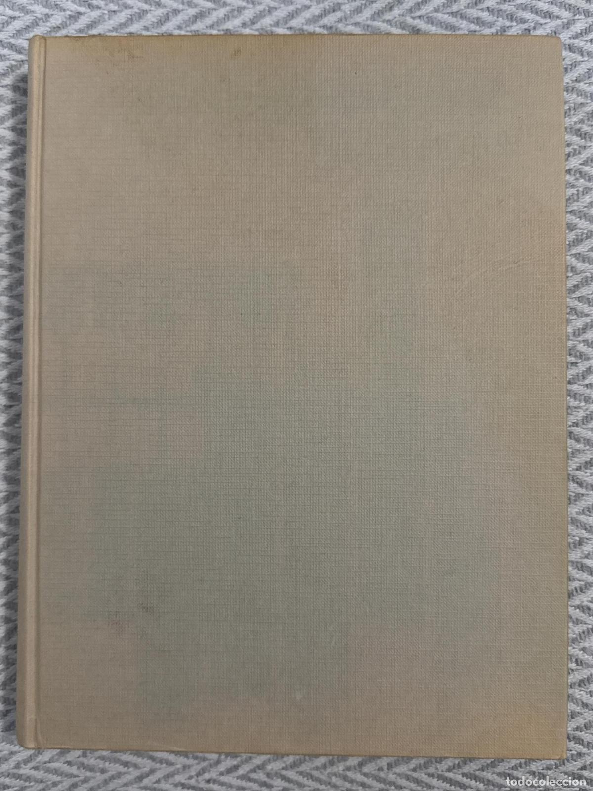 Livros em segunda m&atilde;o: El universo de los n&uacute;meros. Historia y evoluci&oacute;n de las matem&aacute;ticas - Lancelot Hogben