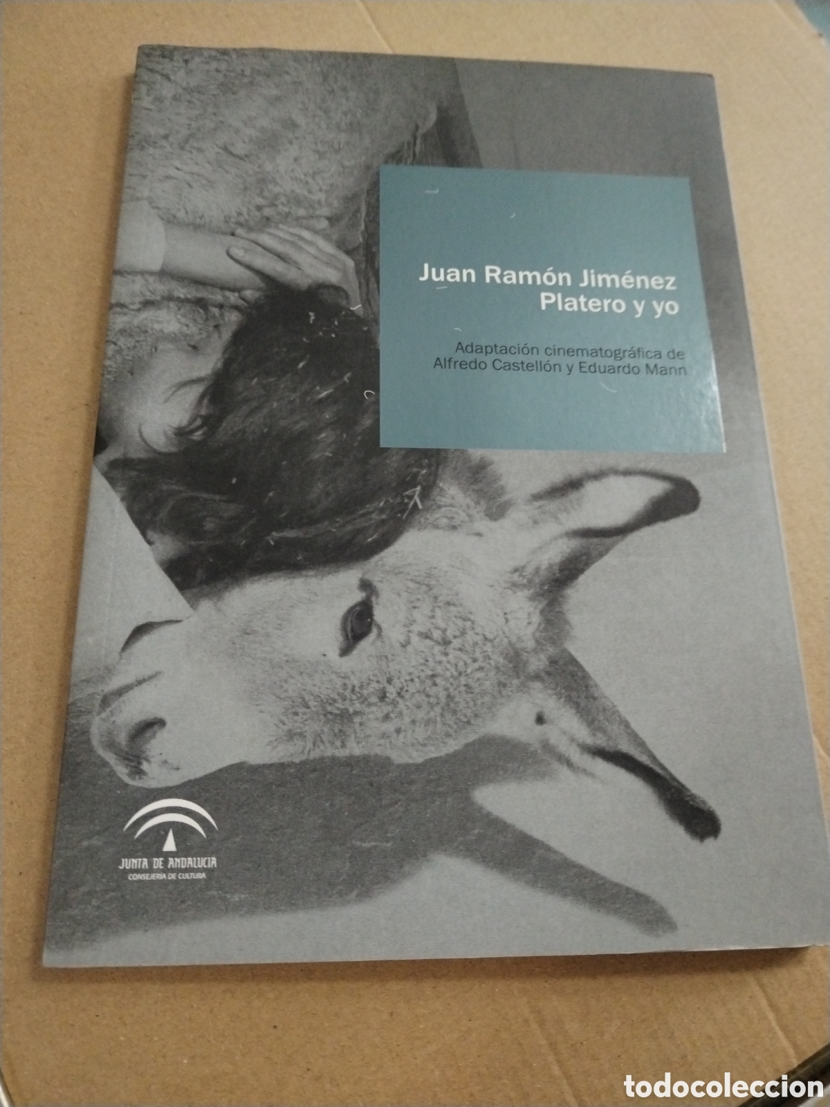 Libros: JUAN RAM&Oacute;N JIM&Eacute;NEZ. PLATERO Y YO. ADAPTACI&Oacute;N CINEMATOGR&Aacute;FICA DE ALFREDO CASTELL&Oacute;N Y EDUARDO.