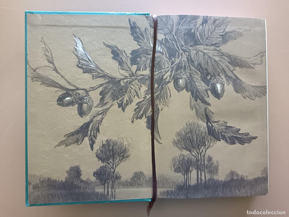 Libros: SEPTIEMBRE - R. PILCHER - Foto 3