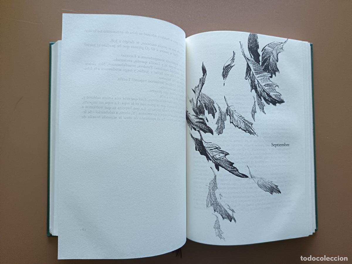 Libros: SEPTIEMBRE - R. PILCHER - Foto 4