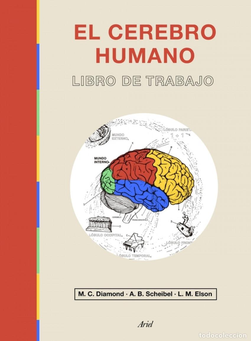 Libros: El cerebro humano - Diamond, Marian C.