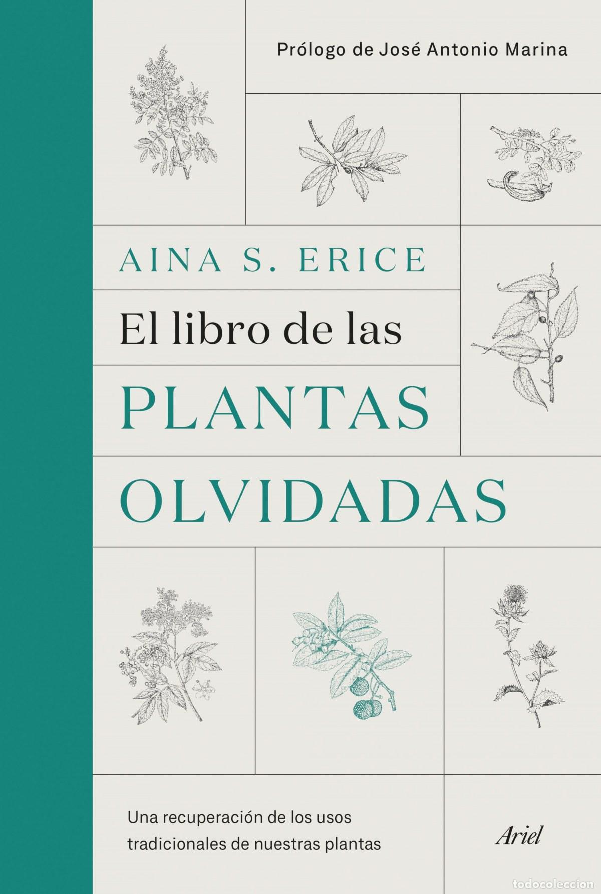 Livres: EL LIBRO DE LAS PLANTAS OLVIDADAS - Erice, Aina