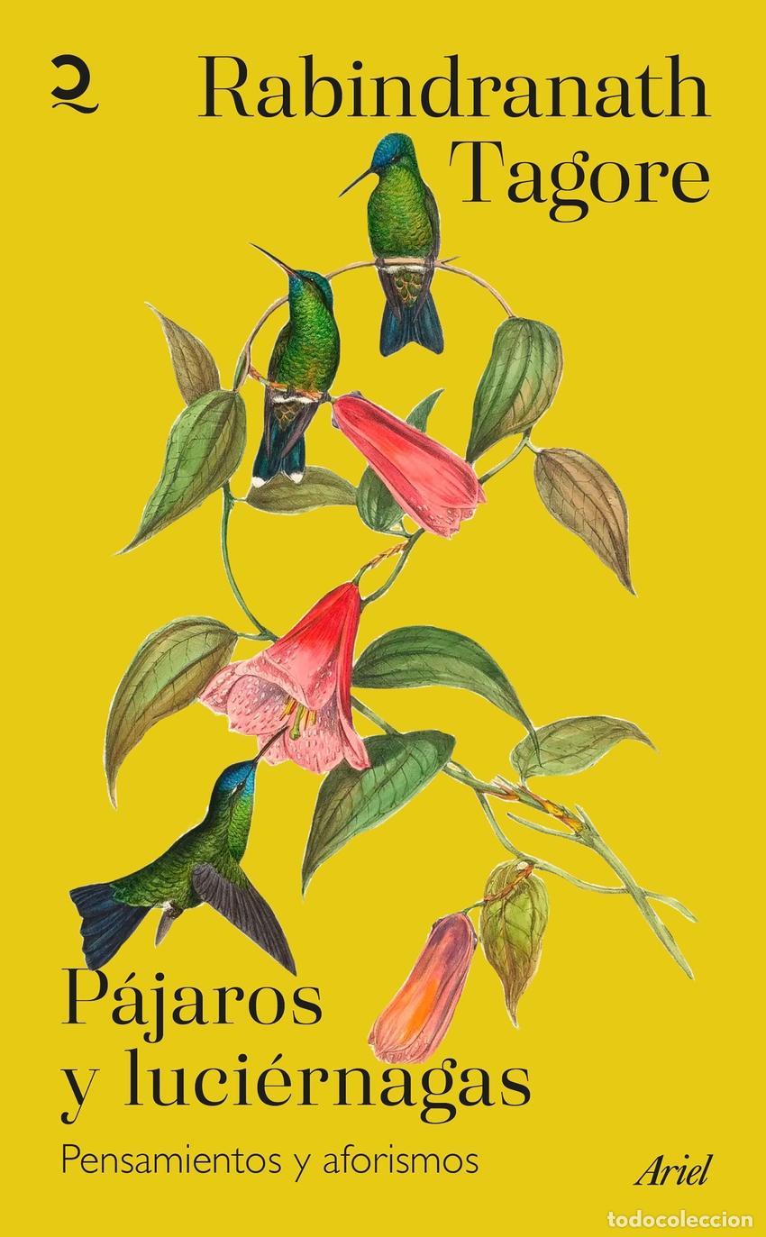 Libros: P&aacute;jaros y luci&eacute;rnagas - Tagore, Rabindranath - Foto 1